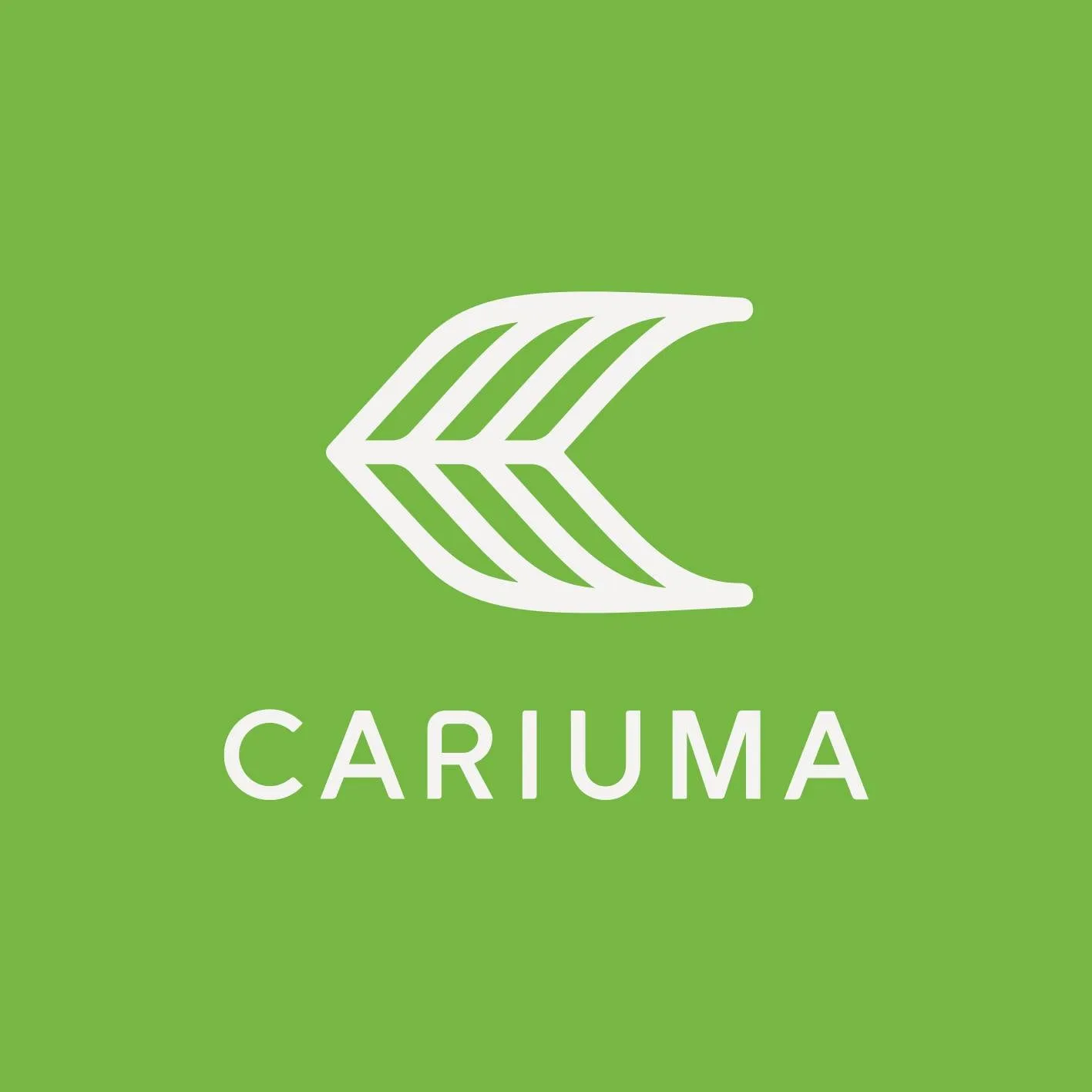 CARIUMA IBI LOW-TOP KNIT SNEAKERS