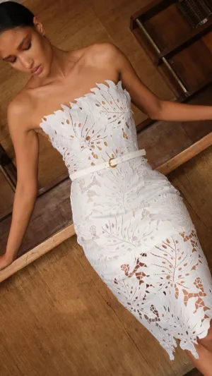 Elegant Sleeveless Dress for Effortless Style