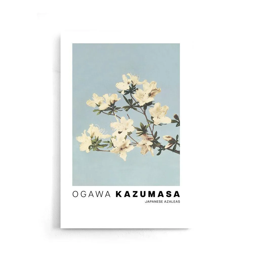 Ogawa Kazumasa - Japanese Azaleas