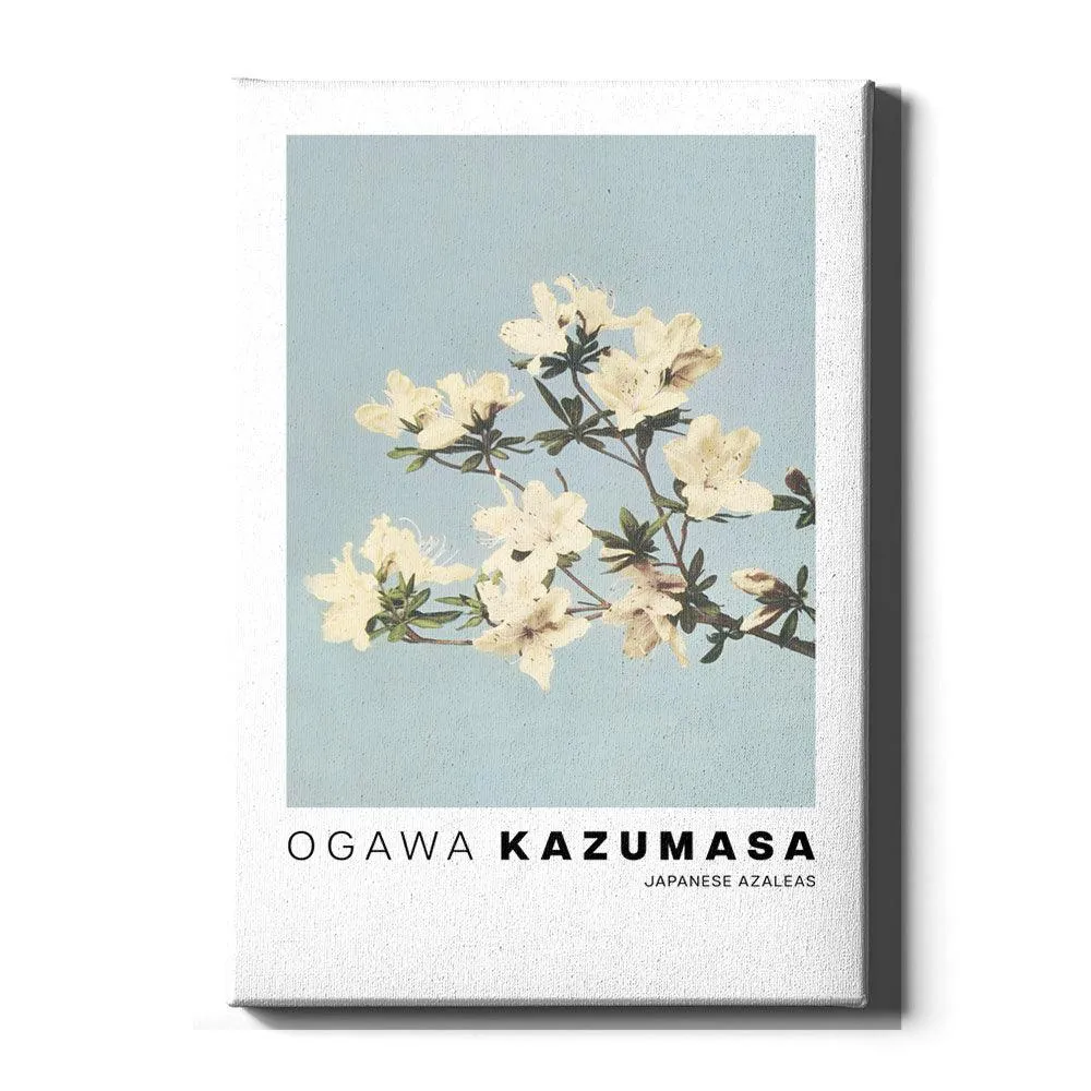 Ogawa Kazumasa - Japanese Azaleas