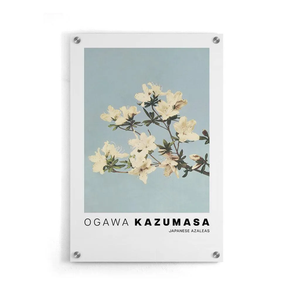 Ogawa Kazumasa - Japanese Azaleas